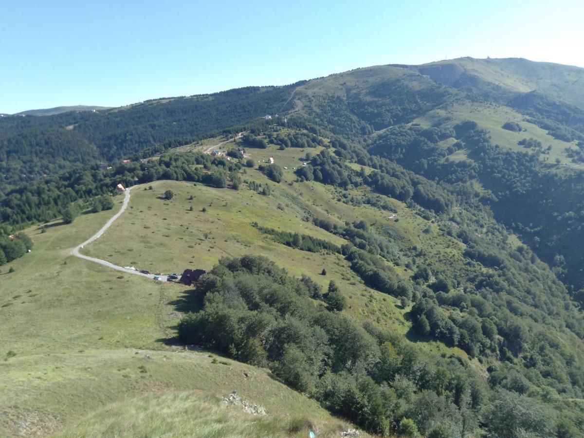 Vikendica Vila Despotovic Kopaonik Exterior photo
