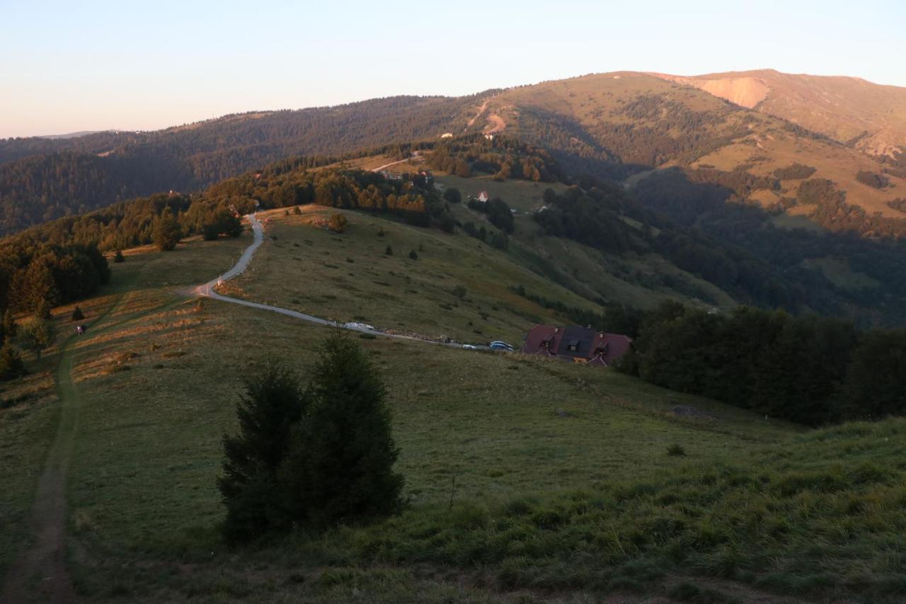 Vikendica Vila Despotovic Kopaonik Exterior photo