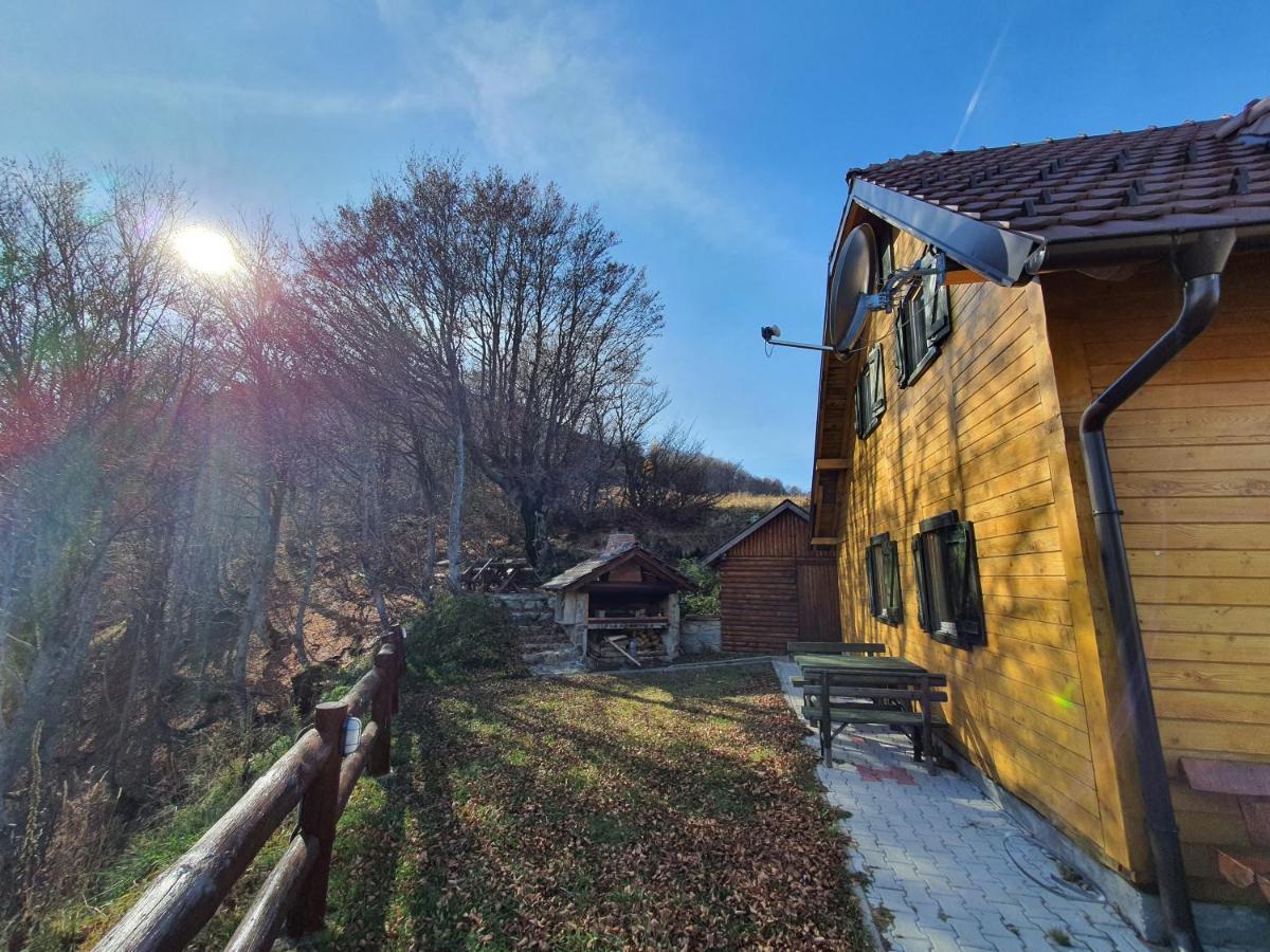 Vikendica Vila Despotovic Kopaonik Exterior photo