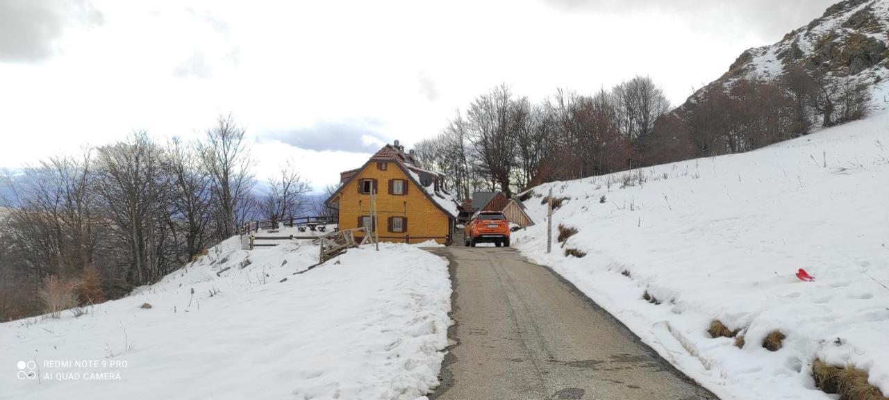 Vikendica Vila Despotovic Kopaonik Exterior photo