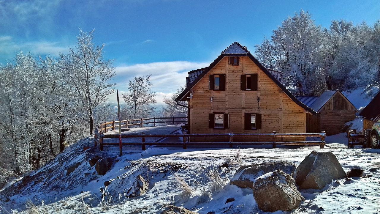Vikendica Vila Despotovic Kopaonik Exterior photo